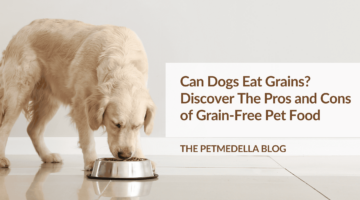 A dog eating at a stainless steel food bowl. Overlay text: Can Dogs Eat Grains? Discover The Pros and Cons of Grain-Free Pet Food